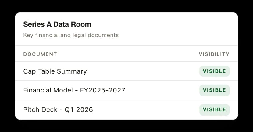 A Series A data room document index listing a cap table summary at 869 KB with 9 views, a financial model at 2 MB with 12 views, and a pitch deck at 5 MB with 19 views, each a PDF marked visible and downloadable.